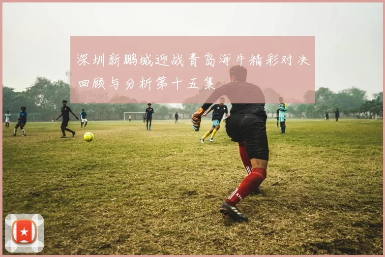 深圳新鹏城迎战青岛海牛精彩对决回顾与分析第十五集